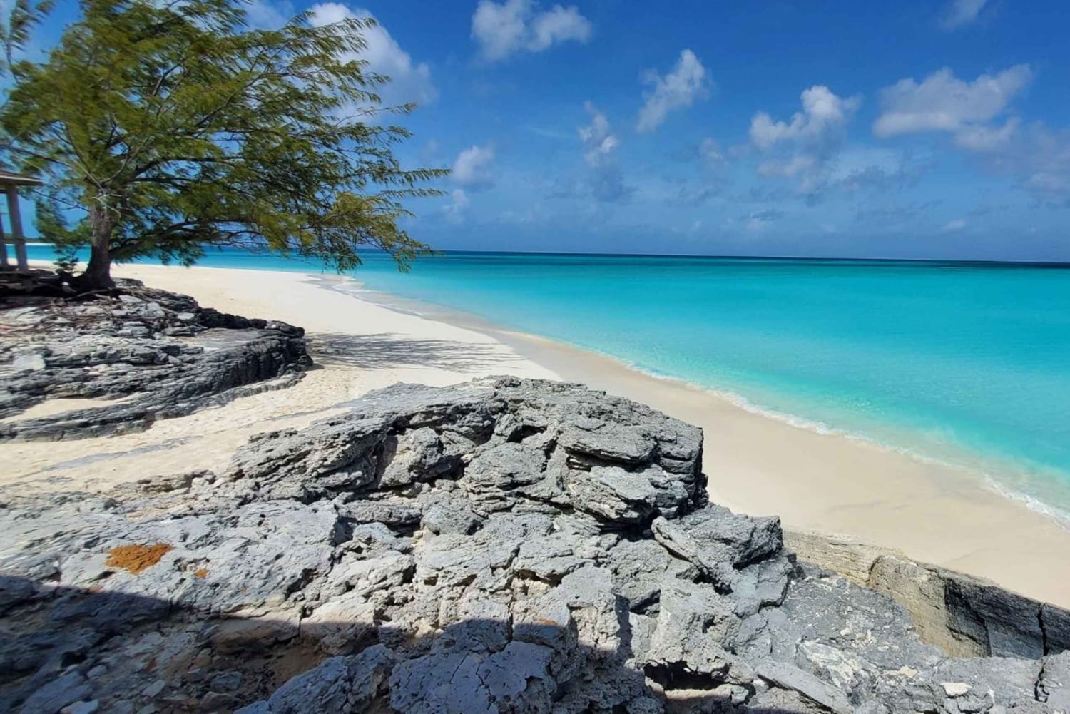 Незабываемый тур по Лонг-Айленду, Багамы