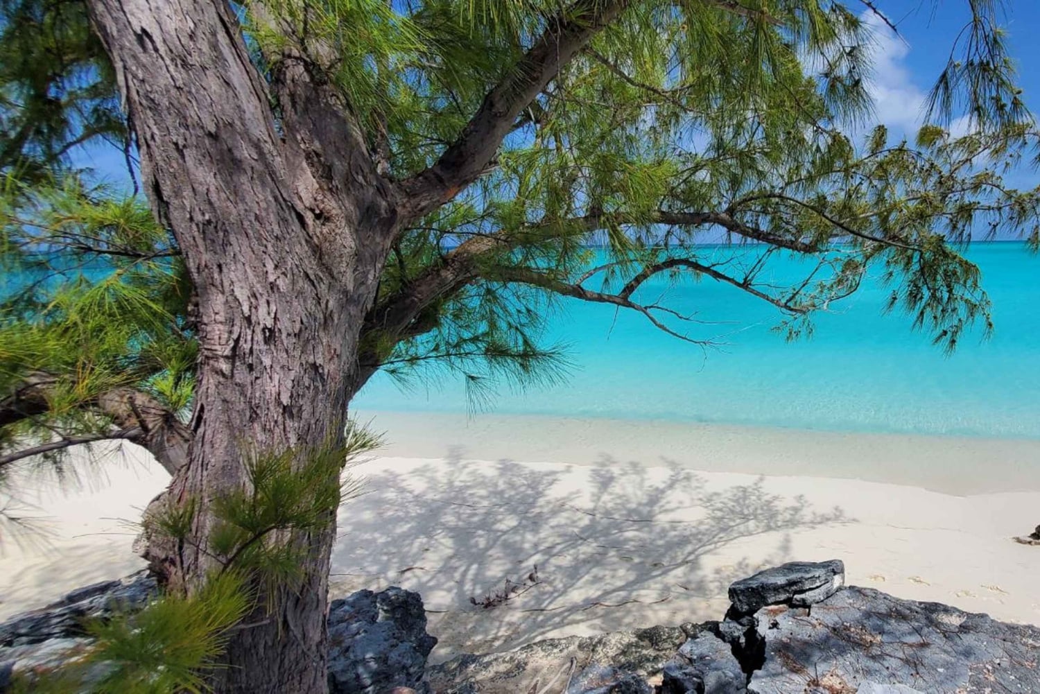 Незабываемый тур по Лонг-Айленду, Багамы