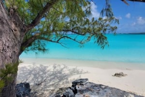 Unforgettable Land Tour on Long Island Bahamas