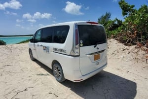 Unforgettable Land Tour on Long Island Bahamas