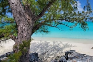 Незабываемый тур по Лонг-Айленду, Багамы