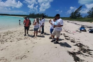 Незабываемый тур по Лонг-Айленду, Багамы