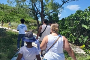 Незабываемый тур по Лонг-Айленду, Багамы