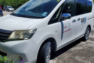 Незабываемый тур по Лонг-Айленду, Багамы