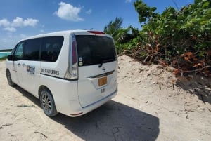 Незабываемый тур по Лонг-Айленду, Багамы