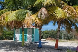 Незабываемый тур по Лонг-Айленду, Багамы