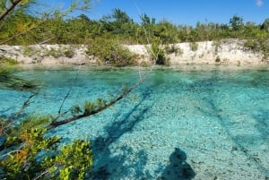 Незабываемый тур по Лонг-Айленду, Багамы