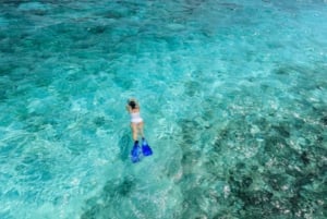West End Bahamas: Guidet snorkeltur