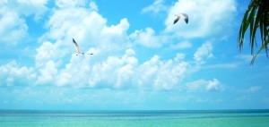 Tranquility, Bahamas