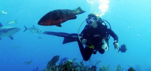 Diving, Exuma, Bahamas
