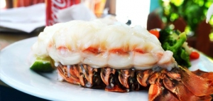 Lobster Meal, Bahamas