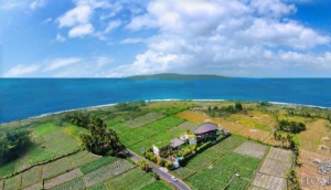 Strawberry Hill is about tranquillity and relaxation