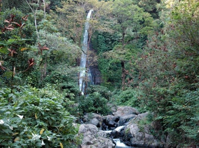 Gitgit Waterfall, one of several in North Bali