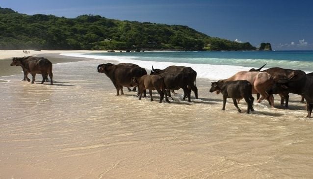 Sumba - a New Experience