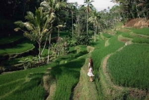 Los 10 mejores paquetes turísticos opcionales de un día en Bali