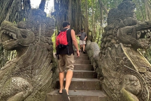 Los 10 mejores paquetes turísticos opcionales de un día en Bali