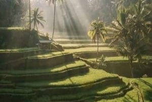 Los 10 mejores paquetes turísticos opcionales de un día en Bali
