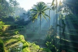 Los 10 mejores paquetes turísticos opcionales de un día en Bali