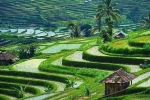 Los 10 mejores paquetes turísticos opcionales de un día en Bali