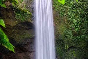 Los 10 mejores paquetes turísticos opcionales de un día en Bali