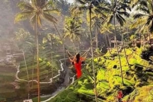 Los 10 mejores paquetes turísticos opcionales de un día en Bali