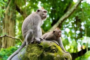 Los 10 mejores paquetes turísticos opcionales de un día en Bali