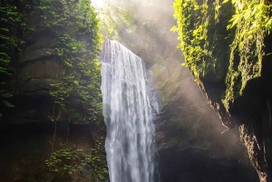 2 päivän Balin pakomatka: piilotettu Ubud ja Nusa Penidan saari