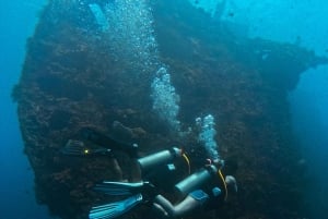 3 Fun Dive at Liberty Wreck & Kayak Adventure in Bali