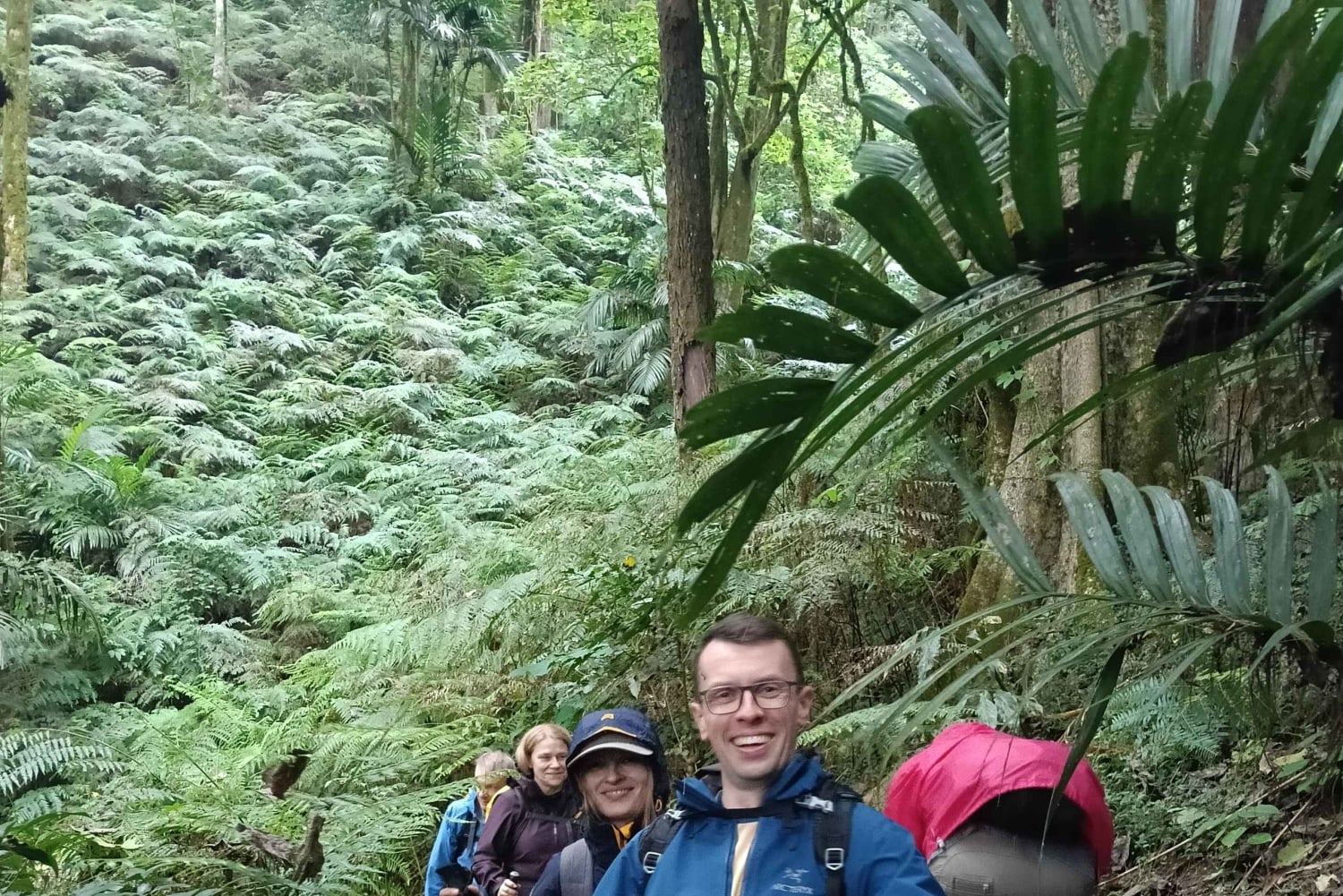 4 giorni / 3 notti di trekking nella giungla e alle cascate nel nord di Bali