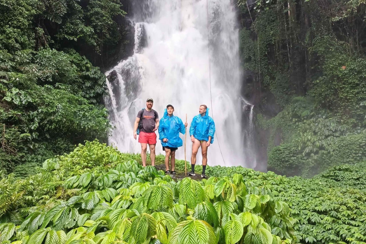 4 giorni / 3 notti di trekking nella giungla e alle cascate nel nord di Bali