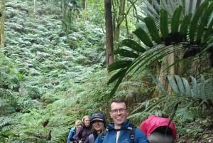 4 Days / 3 Nights Jungle & Waterfall Trek in North Bali