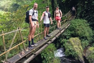 4 Days / 3 Nights Jungle & Waterfall Trek in North Bali