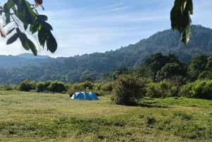 4 Days / 3 Nights Jungle & Waterfall Trek in North Bali