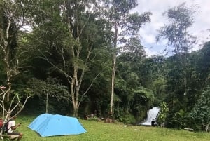 4 Days / 3 Nights Jungle & Waterfall Trek in North Bali