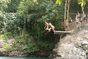 4 Days / 3 Nights Jungle & Waterfall Trek in North Bali