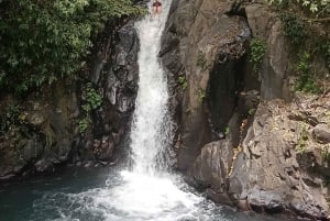 4 Days / 3 Nights Jungle & Waterfall Trek in North Bali