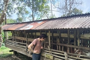 4 Days / 3 Nights Jungle & Waterfall Trek in North Bali