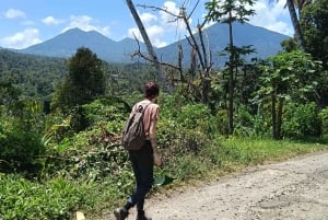 4 Days / 3 Nights Jungle & Waterfall Trek in North Bali