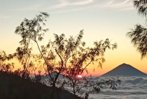 4 Days / 3 Nights Jungle & Waterfall Trek in North Bali