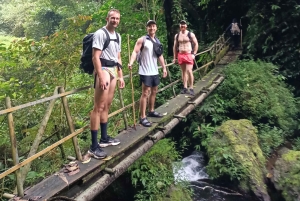 4 giorni / 3 notti di trekking nella giungla e alle cascate nel nord di Bali