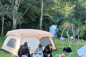 4 giorni / 3 notti di trekking nella giungla e alle cascate nel nord di Bali