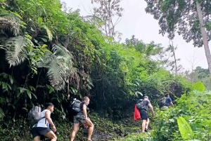 4 giorni / 3 notti di trekking nella giungla e alle cascate nel nord di Bali