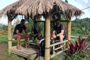 4 giorni / 3 notti di trekking nella giungla e alle cascate nel nord di Bali