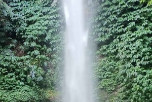 4 giorni / 3 notti di trekking nella giungla e alle cascate nel nord di Bali
