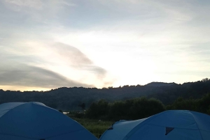 4 giorni / 3 notti di trekking nella giungla e alle cascate nel nord di Bali