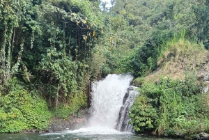 4 giorni / 3 notti di trekking nella giungla e alle cascate nel nord di Bali