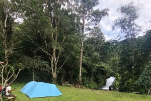 4 giorni / 3 notti di trekking nella giungla e alle cascate nel nord di Bali