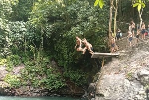 4 giorni / 3 notti di trekking nella giungla e alle cascate nel nord di Bali