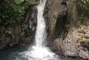 4 giorni / 3 notti di trekking nella giungla e alle cascate nel nord di Bali