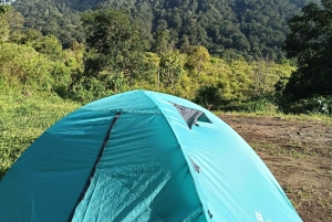 4 giorni / 3 notti di trekking nella giungla e alle cascate nel nord di Bali